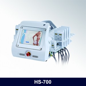 2017 High quality Long Pulse Nd Yag Laser Medical Equipment - lipo laser HS-700 – Apolo